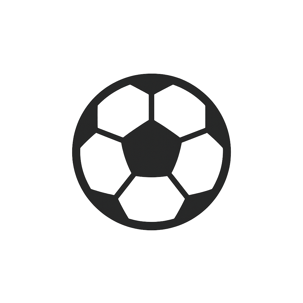 Black and white soccer ball illustration